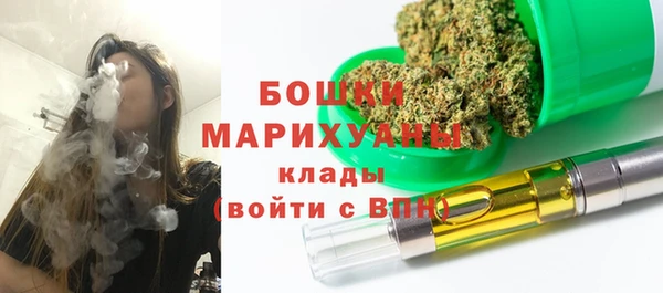 хмурый Аркадак