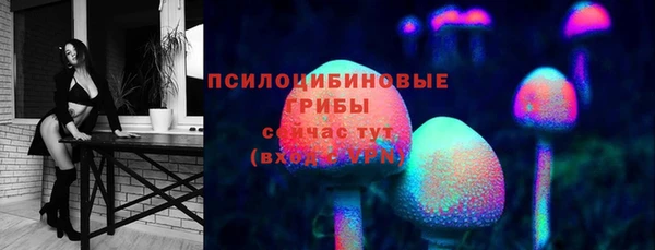 хмурый Аркадак