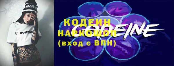 хмурый Аркадак