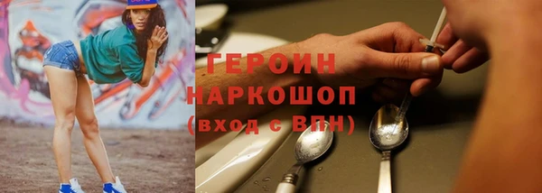 хмурый Аркадак