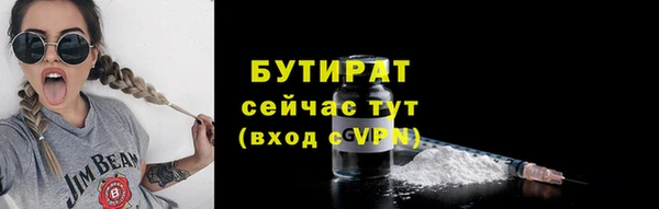 хмурый Аркадак
