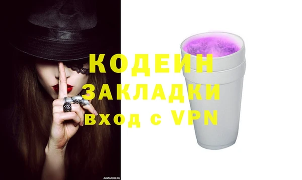 хмурый Аркадак