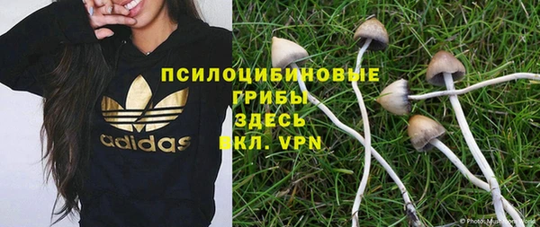спиды Арсеньев
