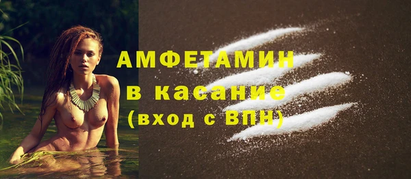 хмурый Аркадак