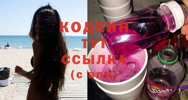 хмурый Аркадак