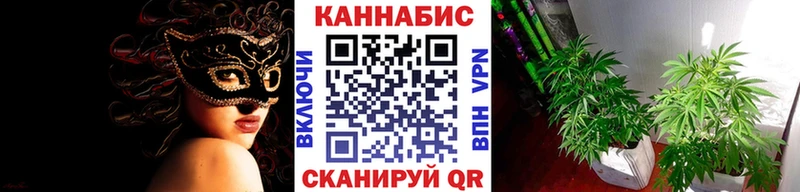 МАРИХУАНА семена Урюпинск